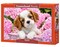 500 Piece Jigsaw Puzzle, Pup in Pink Flowers, Animal puzzle, Dog puzzle; Puppies, Cute dog, Adult Puzzles, Castorland B-52233